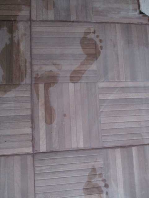 Wet Footprints